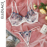 Floral Embroidery Erotic Lingerie Lace Transparent Bra Underwear Set