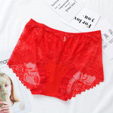 Women's Lace Briefs Transparent Seamless Panties