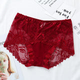 Women's Lace Briefs Transparent Seamless Panties