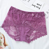 Women's Lace Briefs Transparent Seamless Panties