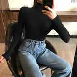 Women Knitted Sweater Long Sleeve Turtleneck Slim Jumper