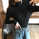 Women Knitted Sweater Long Sleeve Turtleneck Slim Jumper