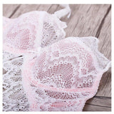 Sexy Lace Transparent Embroidery Ultrathin Bra Panties Set