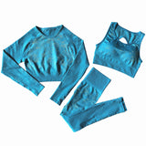 Two Piece Blue Crop Top Bra Leggings Yoga Wear Gym Set