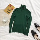 Women Knitted Sweater Long Sleeve Turtleneck Slim Jumper