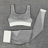 Dry Fit Two Piece Tight Crop top Bra Legging Gym Sets