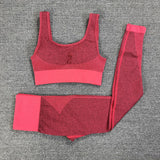 Dry Fit Two Piece Tight Crop top Bra Legging Gym Sets