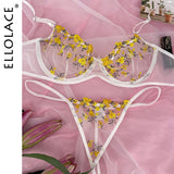 Floral Embroidery Erotic Lingerie Lace Transparent Bra Underwear Set