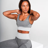 Dry Fit Two Piece Tight Crop top Bra Legging Gym Sets