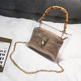 Women Transparent Chain Hand Bags