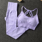 Gym 2 Piece Workout Clothes Set For Woman