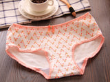 Women's Briefs Lingerie's Cotton Underwear