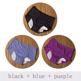 Menstrual Leak Proof Incontinence Panties