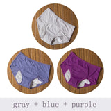 Menstrual Leak Proof Incontinence Panties