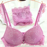 Women's Lace Sexy Push-up Bra underwear Set