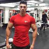 Men's Fitness GYM Elastic Sportswear T Shirt